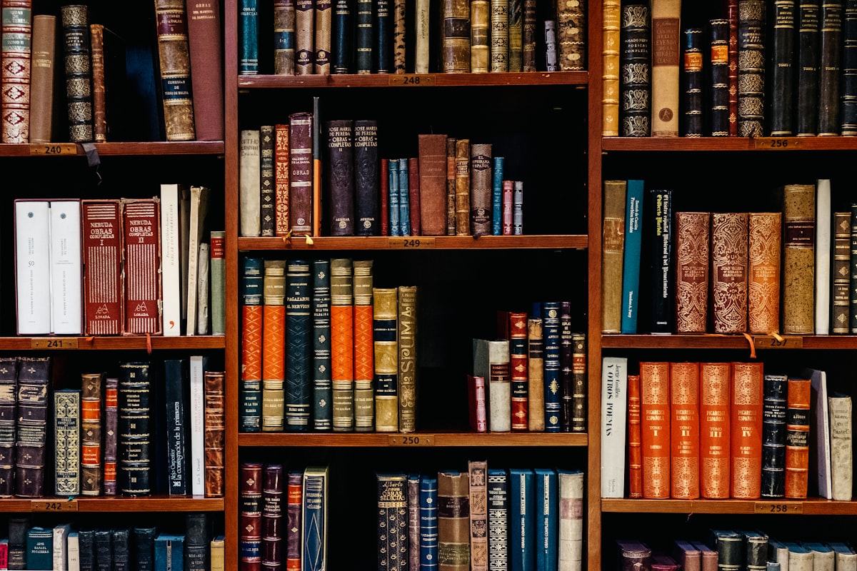 Homem numa biblioteca histórica